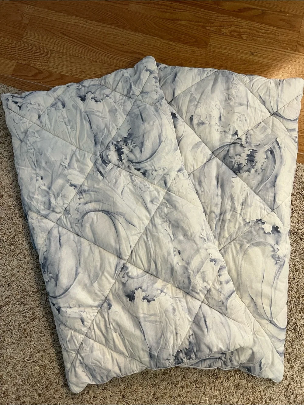 Pottery Barn King Jardin Toile Comforter Shams set of 2; 36